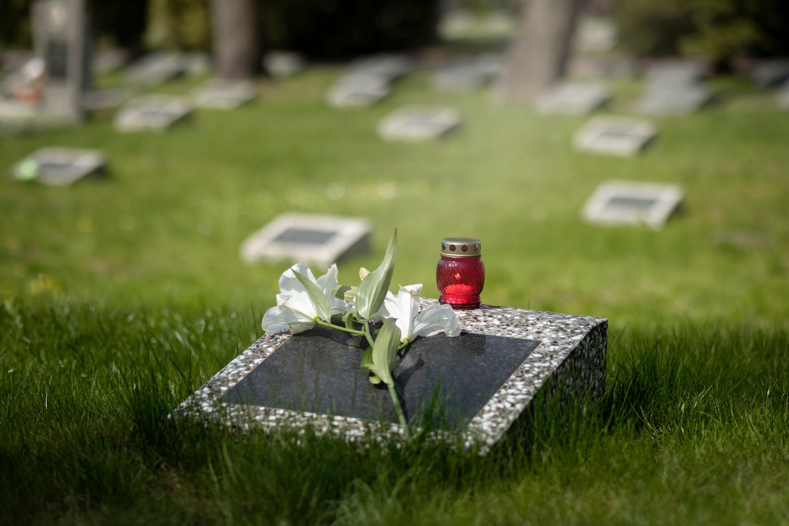 https://img.freepik.com/free-photo/view-gravestone-with-flowers-candle_23-2149431250.jpg?t=st=1742714057~exp=1742717657~hmac=9a2fc56d74f9c85b26dd493bbc5ae1bf4bc165da99ae625c5dcba2a6a75dea50&w=996
